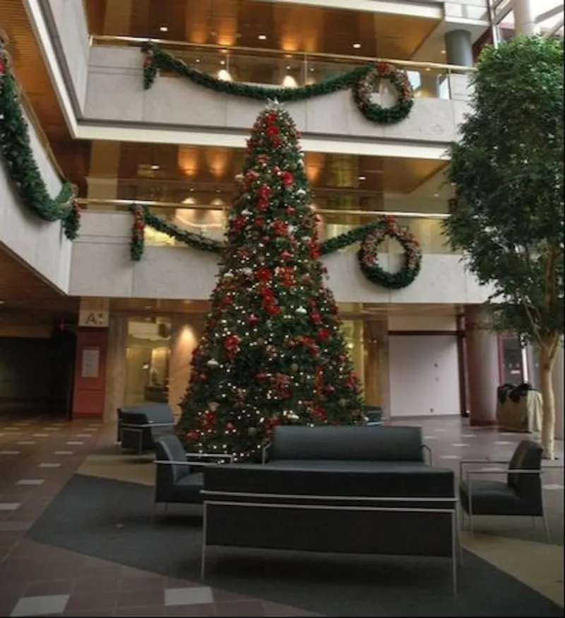 Indoor lobby tree