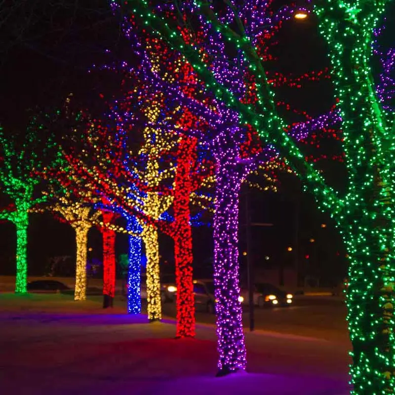 Holiday light installation on San Francisco property